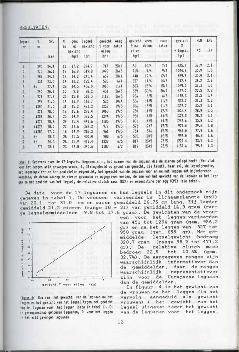 KWEEKEXPERIMENTEN MET DE GROENE LEGUAAN (IGUANA IGUANA) OP CURACAO - New Page