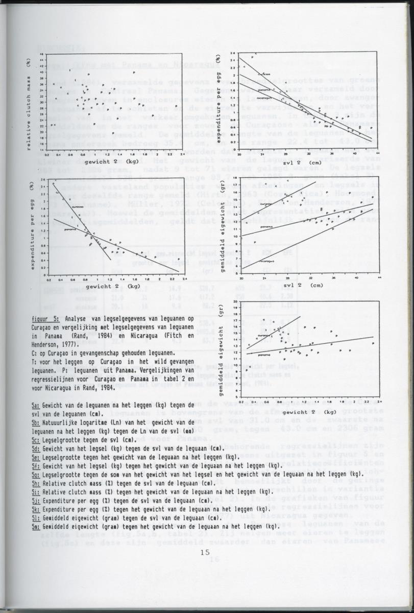 KWEEKEXPERIMENTEN MET DE GROENE LEGUAAN (IGUANA IGUANA) OP CURACAO - New Page