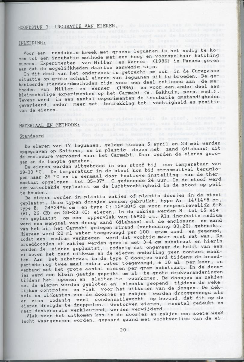 KWEEKEXPERIMENTEN MET DE GROENE LEGUAAN (IGUANA IGUANA) OP CURACAO - New Page