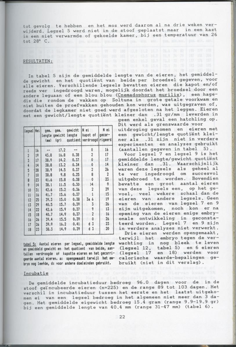 KWEEKEXPERIMENTEN MET DE GROENE LEGUAAN (IGUANA IGUANA) OP CURACAO - New Page