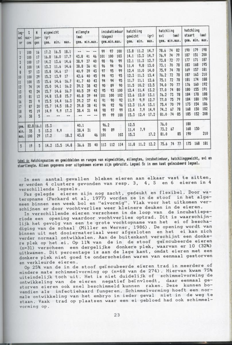 KWEEKEXPERIMENTEN MET DE GROENE LEGUAAN (IGUANA IGUANA) OP CURACAO - New Page