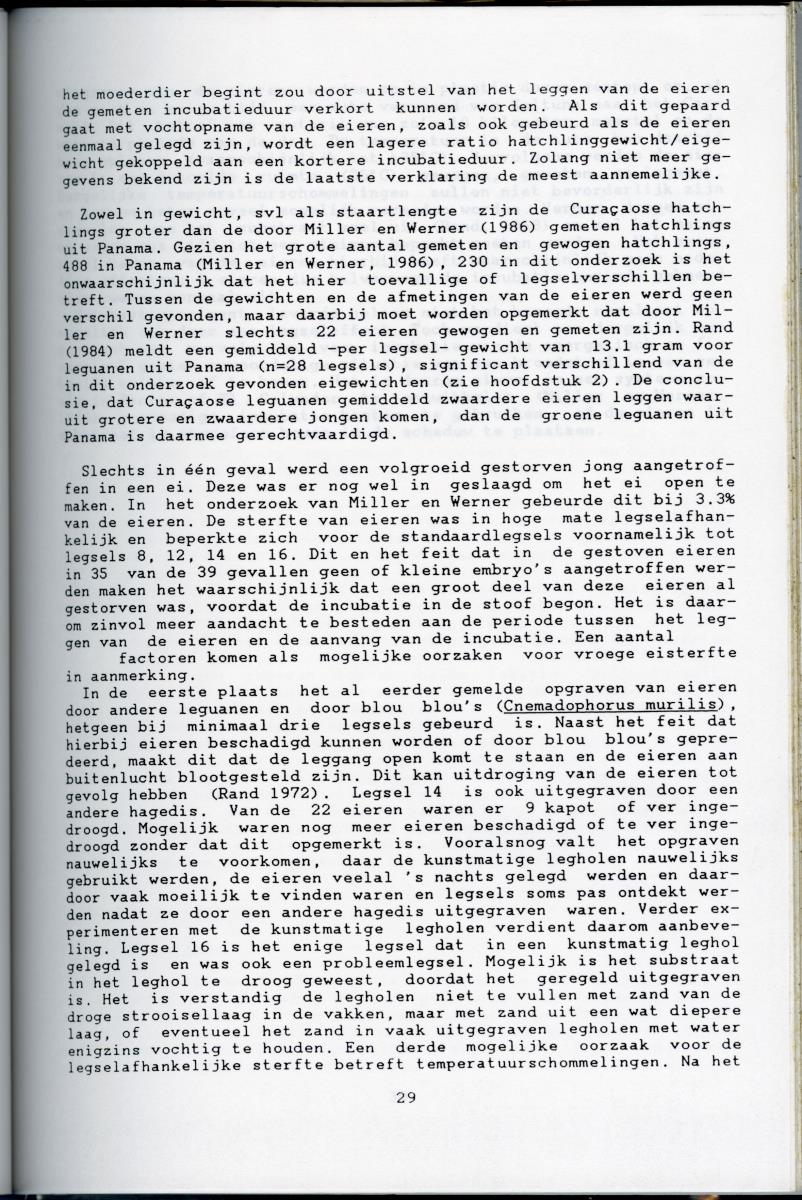 KWEEKEXPERIMENTEN MET DE GROENE LEGUAAN (IGUANA IGUANA) OP CURACAO - New Page