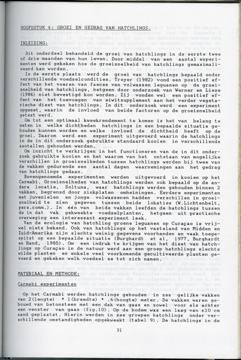 KWEEKEXPERIMENTEN MET DE GROENE LEGUAAN (IGUANA IGUANA) OP CURACAO - New Page