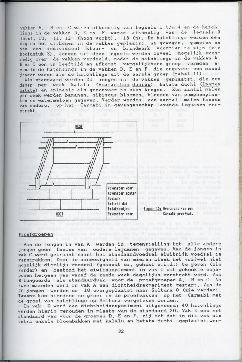 KWEEKEXPERIMENTEN MET DE GROENE LEGUAAN (IGUANA IGUANA) OP CURACAO - New Page
