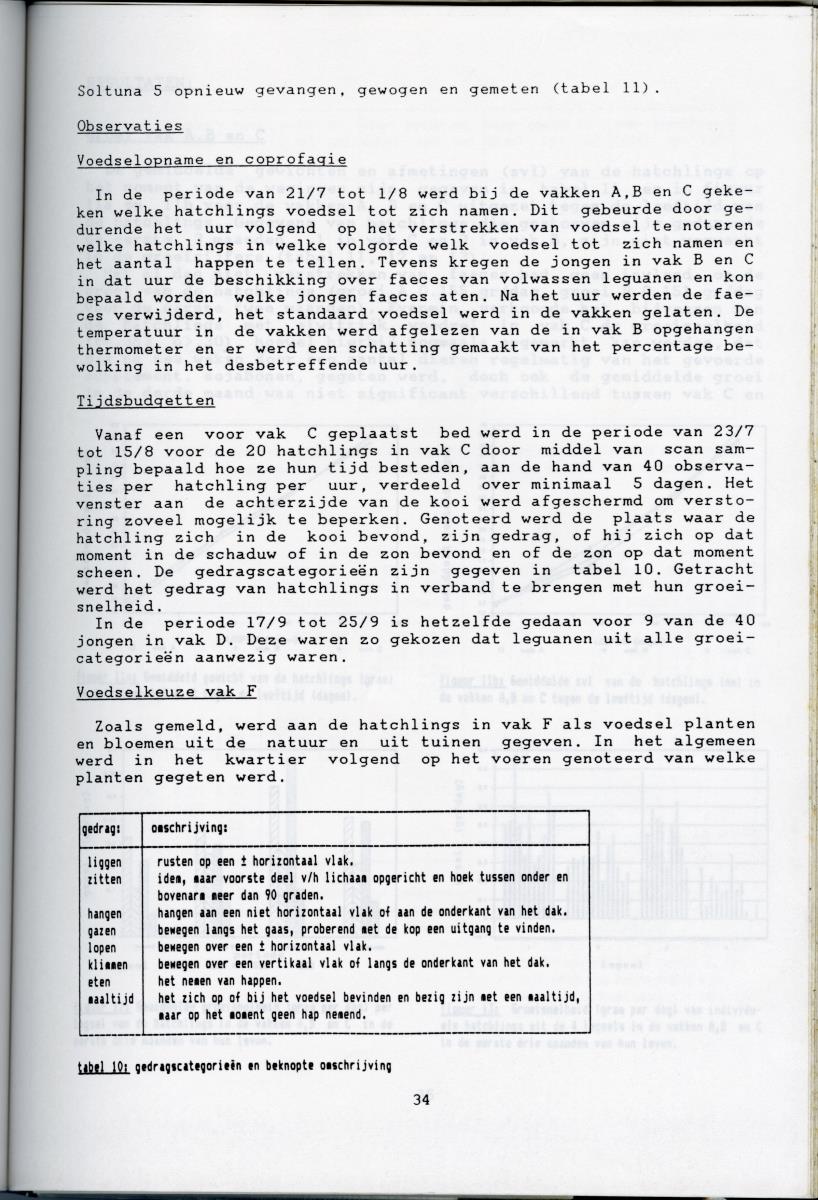 KWEEKEXPERIMENTEN MET DE GROENE LEGUAAN (IGUANA IGUANA) OP CURACAO - New Page