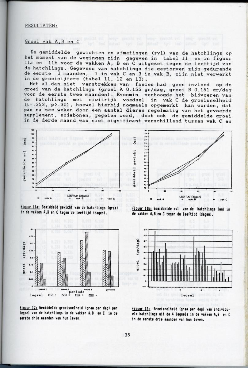 KWEEKEXPERIMENTEN MET DE GROENE LEGUAAN (IGUANA IGUANA) OP CURACAO - New Page