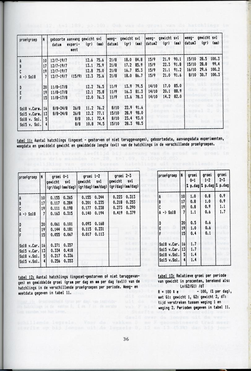 KWEEKEXPERIMENTEN MET DE GROENE LEGUAAN (IGUANA IGUANA) OP CURACAO - New Page