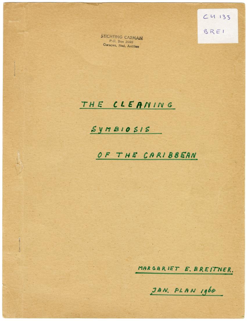 The cleaning symbiosis of the Caribbean - New Page