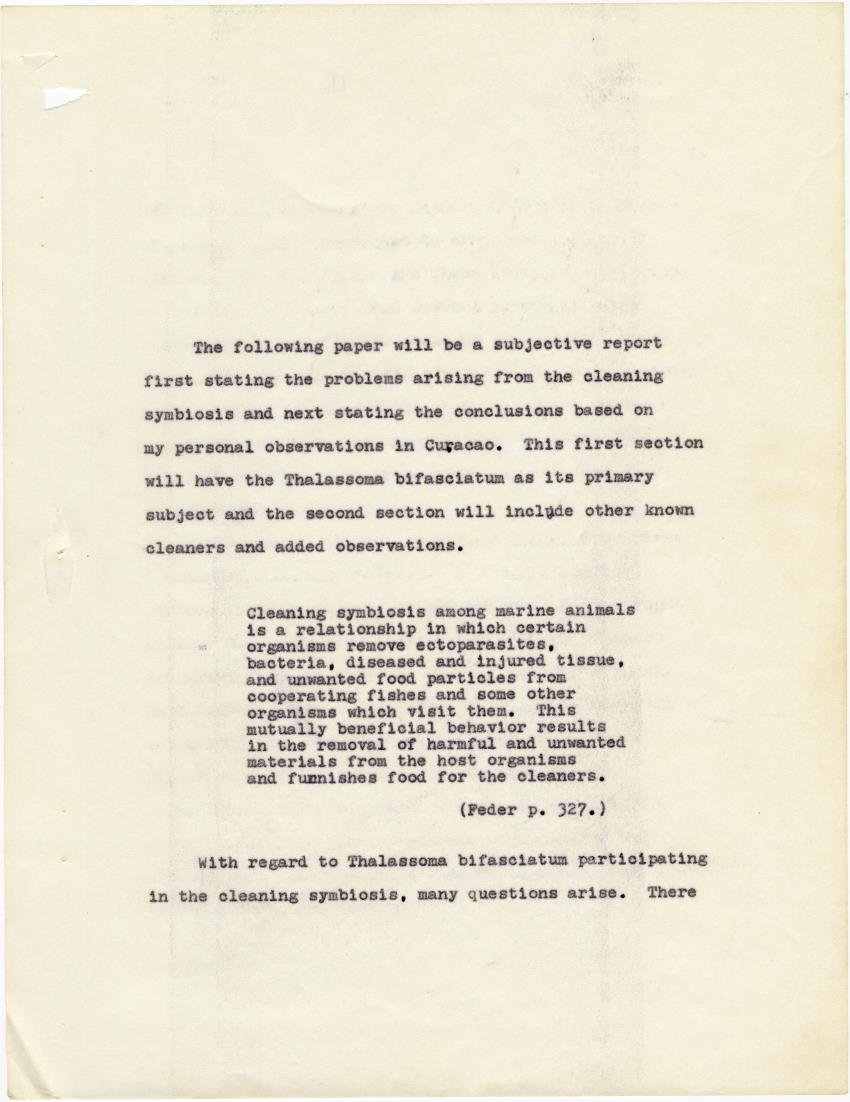 The cleaning symbiosis of the Caribbean - New Page