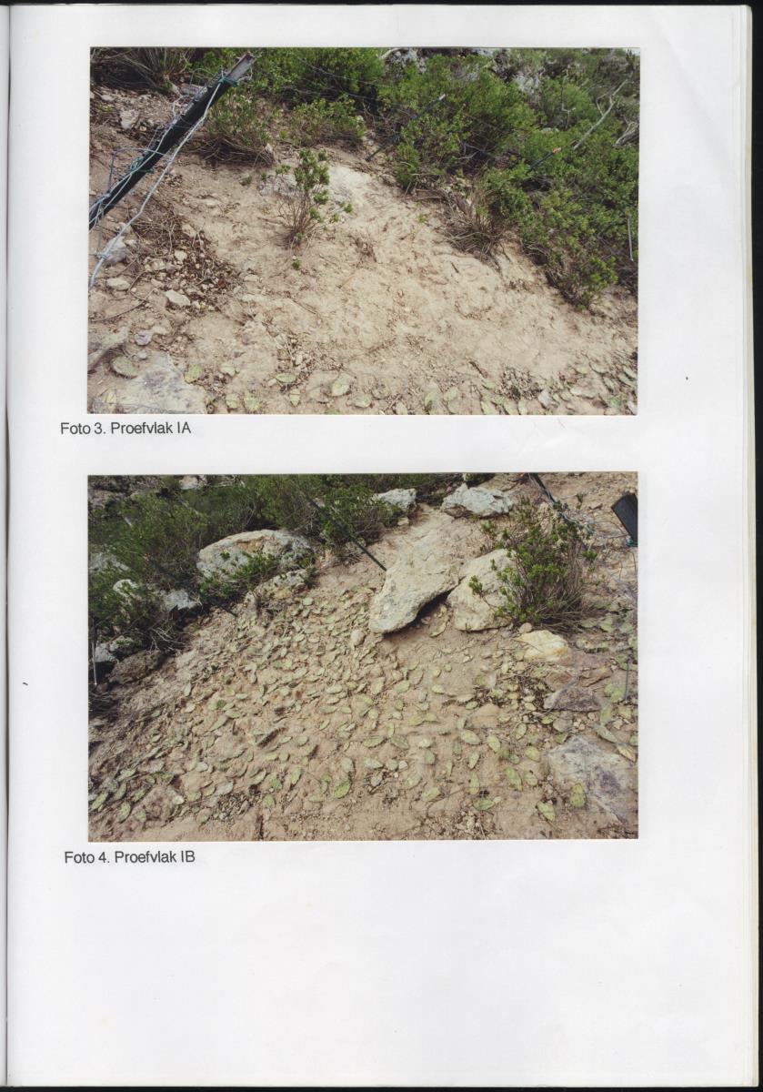 Pilotproject Erosiebestrijding Christoffelberg, Curacao - New Page