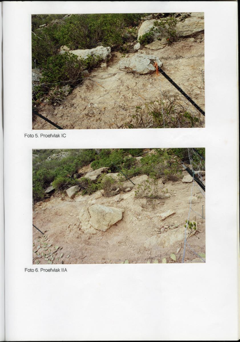 Pilotproject Erosiebestrijding Christoffelberg, Curacao - New Page
