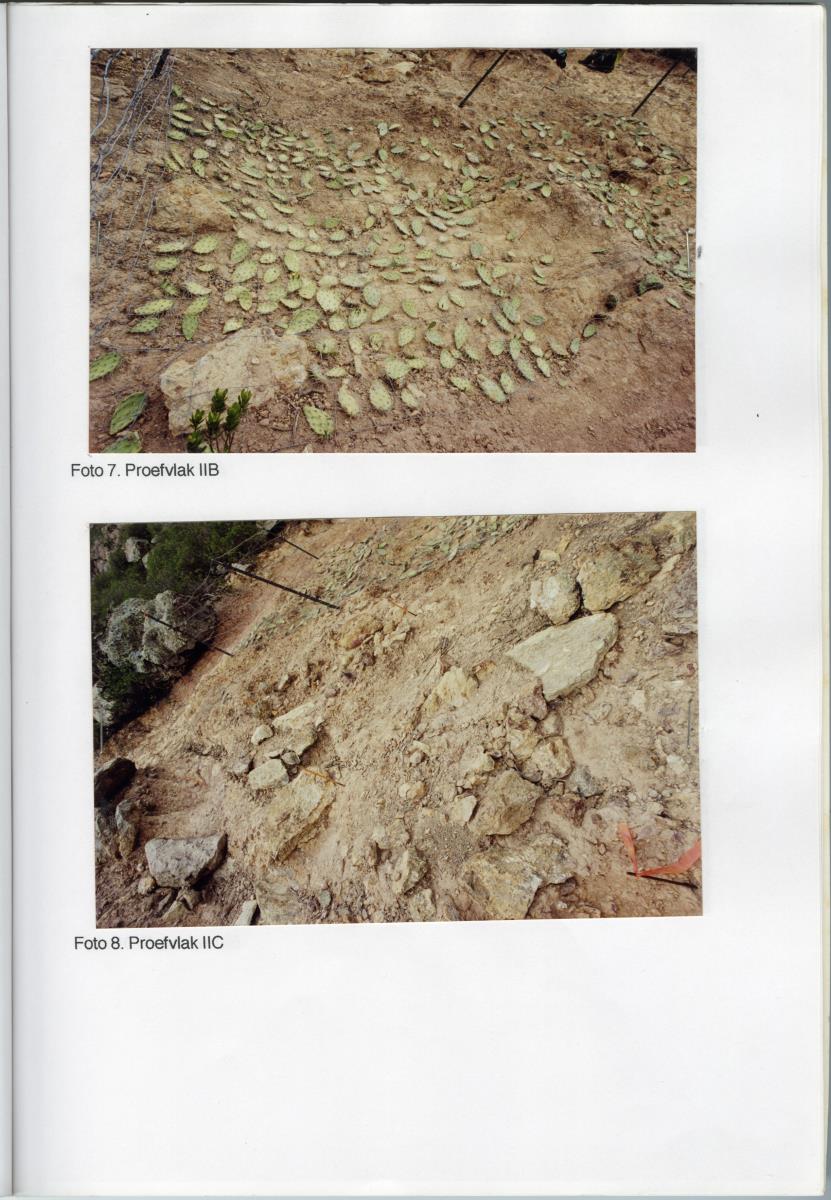 Pilotproject Erosiebestrijding Christoffelberg, Curacao - New Page