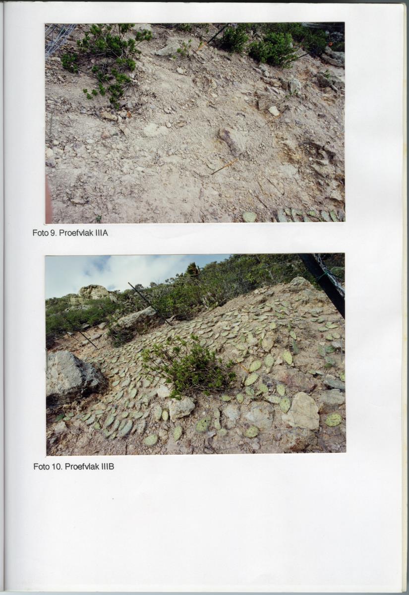 Pilotproject Erosiebestrijding Christoffelberg, Curacao - New Page