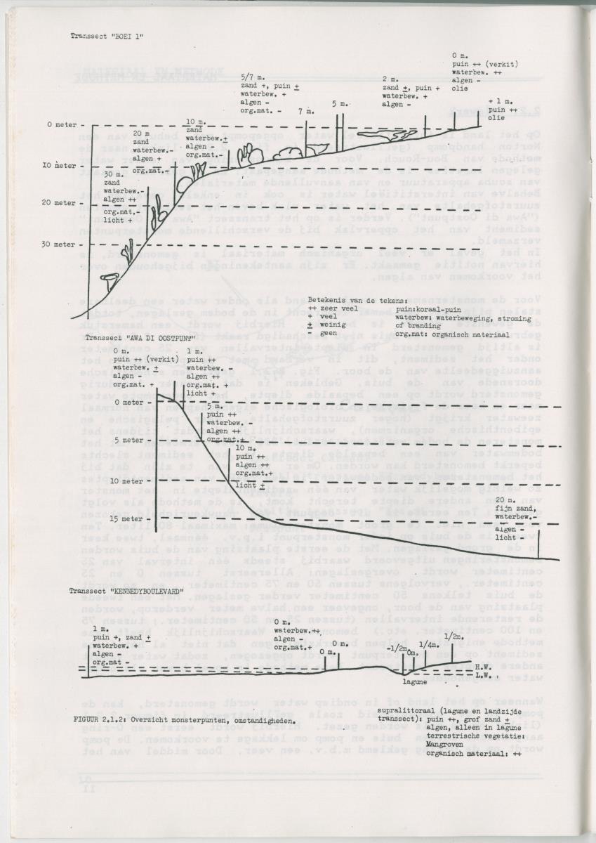 Het voorkomen van Stygofauna en andere organismen (Crustacea, Polychaeta) in relatie met het zuurstofgehalte in de bodem - New Page