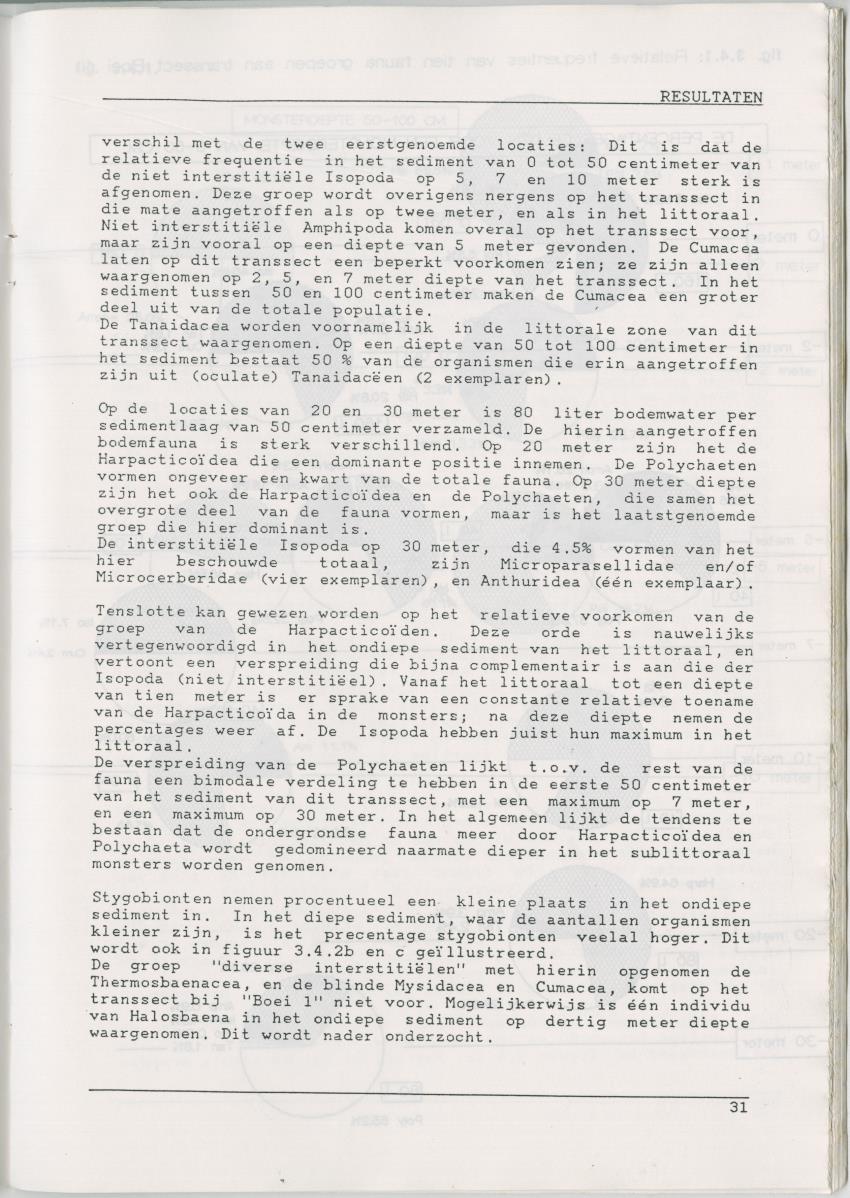 Het voorkomen van Stygofauna en andere organismen (Crustacea, Polychaeta) in relatie met het zuurstofgehalte in de bodem - New Page