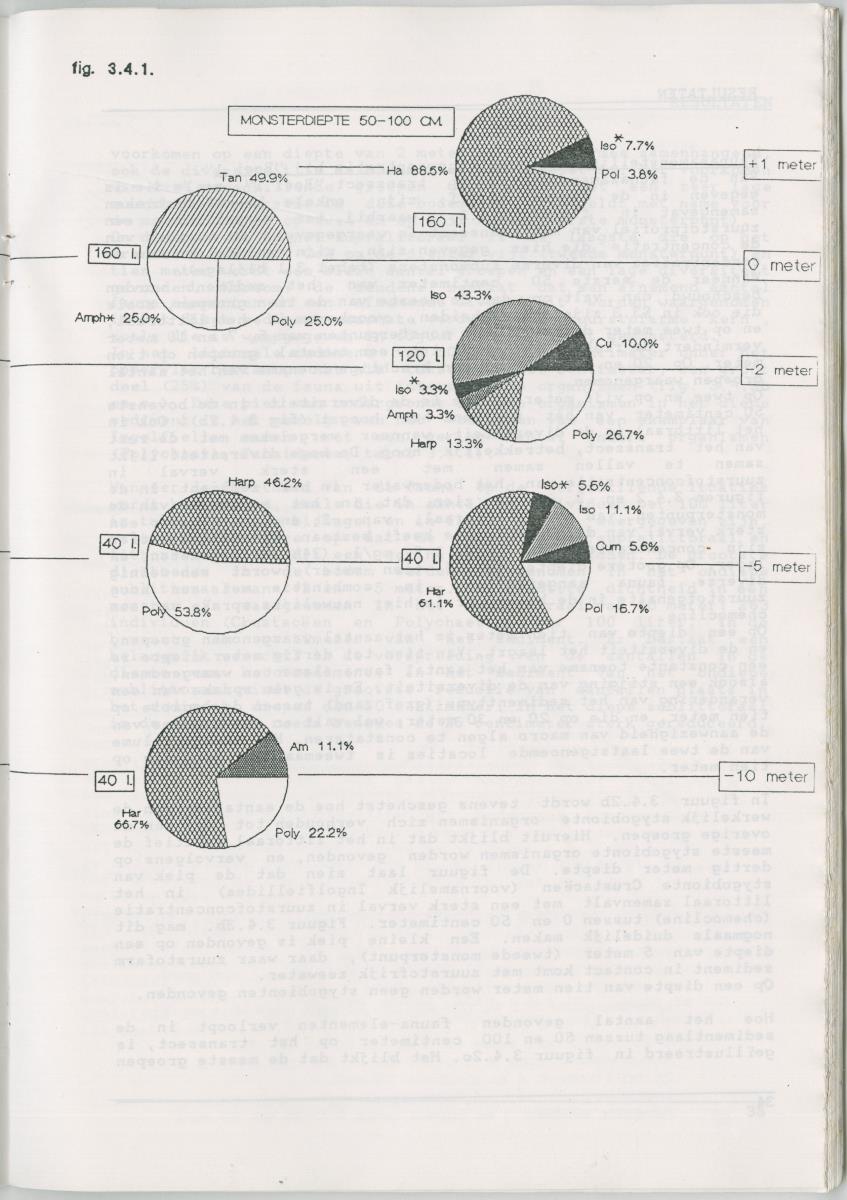 Het voorkomen van Stygofauna en andere organismen (Crustacea, Polychaeta) in relatie met het zuurstofgehalte in de bodem - New Page