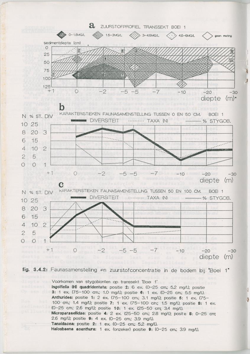 Het voorkomen van Stygofauna en andere organismen (Crustacea, Polychaeta) in relatie met het zuurstofgehalte in de bodem - New Page