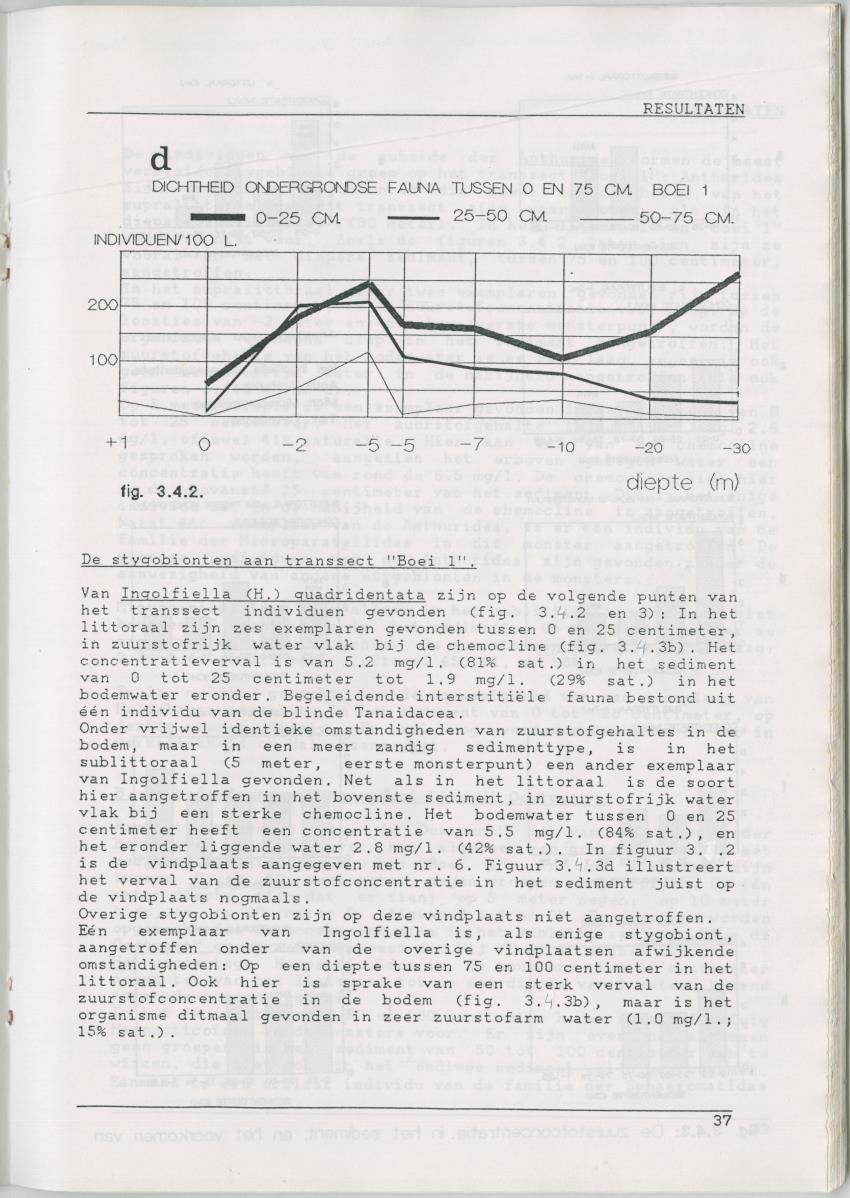Het voorkomen van Stygofauna en andere organismen (Crustacea, Polychaeta) in relatie met het zuurstofgehalte in de bodem - New Page