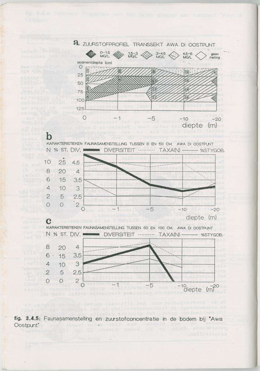 Het voorkomen van Stygofauna en andere organismen (Crustacea, Polychaeta) in relatie met het zuurstofgehalte in de bodem - New Page