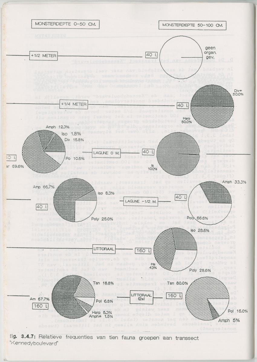 Het voorkomen van Stygofauna en andere organismen (Crustacea, Polychaeta) in relatie met het zuurstofgehalte in de bodem - New Page