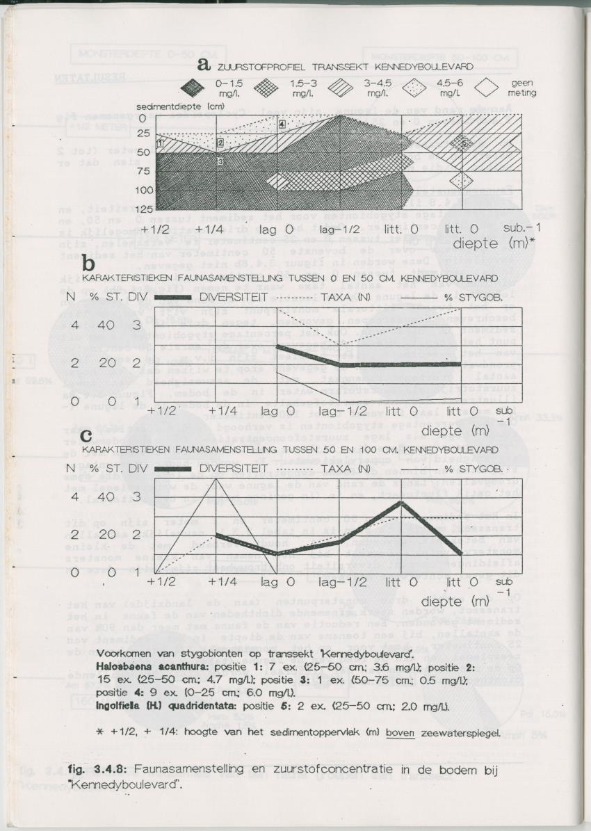 Het voorkomen van Stygofauna en andere organismen (Crustacea, Polychaeta) in relatie met het zuurstofgehalte in de bodem - New Page