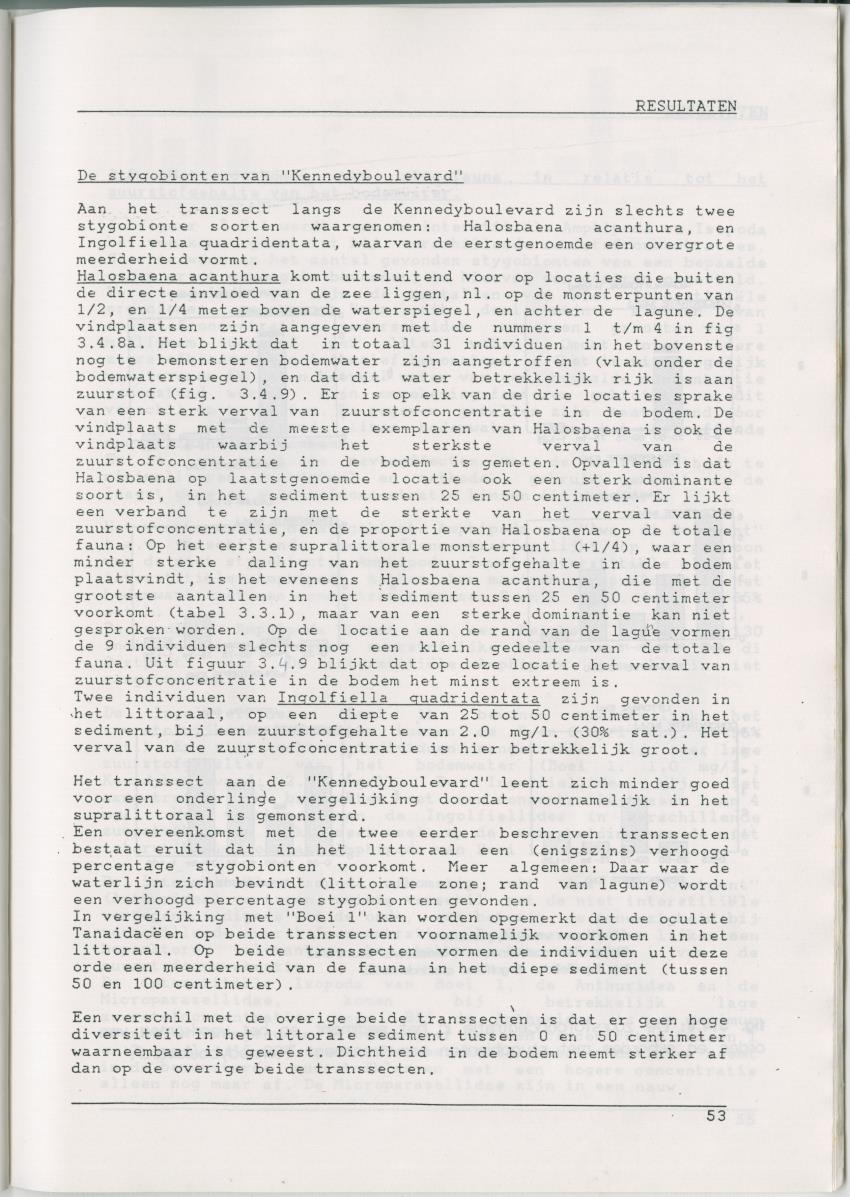 Het voorkomen van Stygofauna en andere organismen (Crustacea, Polychaeta) in relatie met het zuurstofgehalte in de bodem - New Page