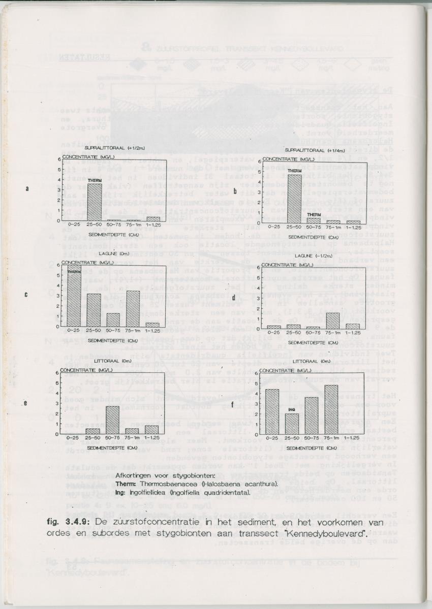 Het voorkomen van Stygofauna en andere organismen (Crustacea, Polychaeta) in relatie met het zuurstofgehalte in de bodem - New Page
