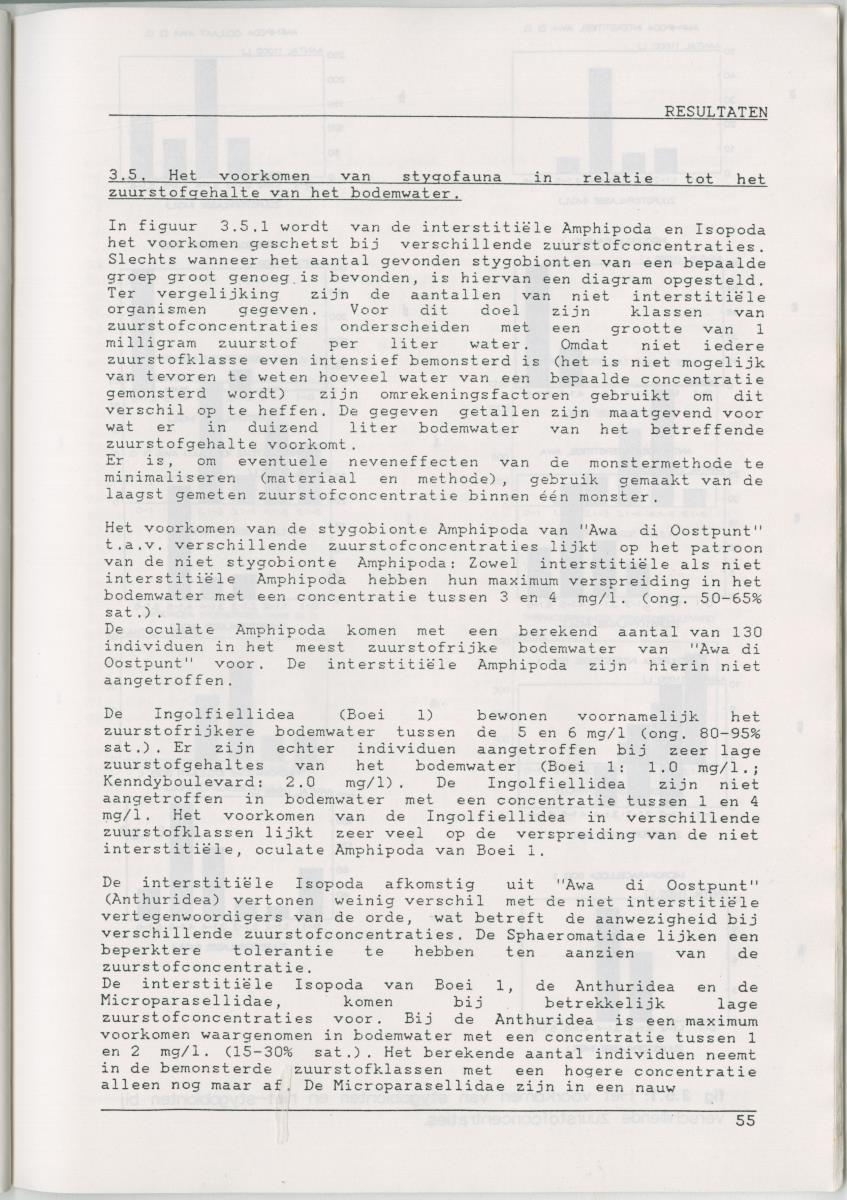 Het voorkomen van Stygofauna en andere organismen (Crustacea, Polychaeta) in relatie met het zuurstofgehalte in de bodem - New Page