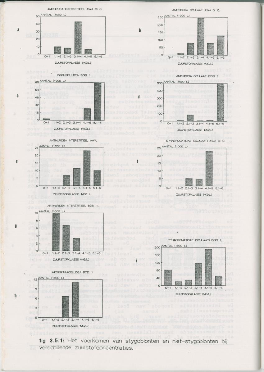Het voorkomen van Stygofauna en andere organismen (Crustacea, Polychaeta) in relatie met het zuurstofgehalte in de bodem - New Page