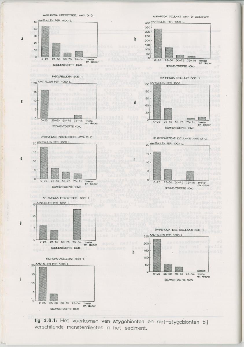 Het voorkomen van Stygofauna en andere organismen (Crustacea, Polychaeta) in relatie met het zuurstofgehalte in de bodem - New Page