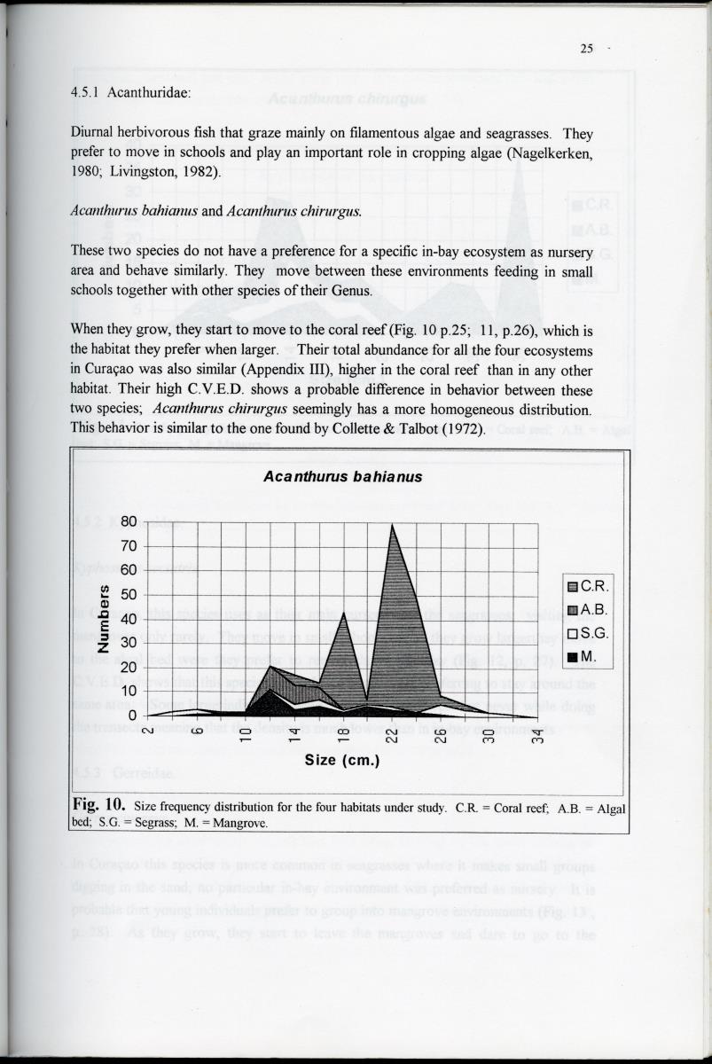 Size distribution patterns of some selected fish species, in mangrove, seagrass, algal-bed and coral reef habitats at Spanishe Water Bay - Curacao - New Page