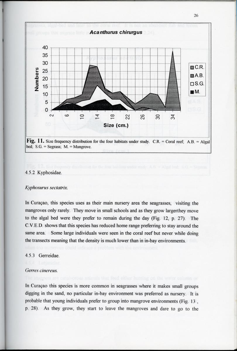 Size distribution patterns of some selected fish species, in mangrove, seagrass, algal-bed and coral reef habitats at Spanishe Water Bay - Curacao - New Page