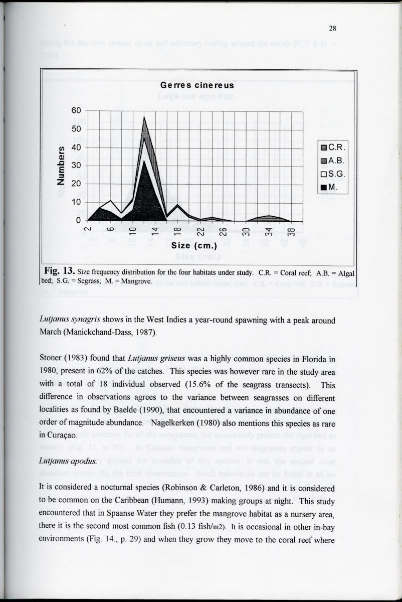 Size distribution patterns of some selected fish species, in mangrove, seagrass, algal-bed and coral reef habitats at Spanishe Water Bay - Curacao - New Page