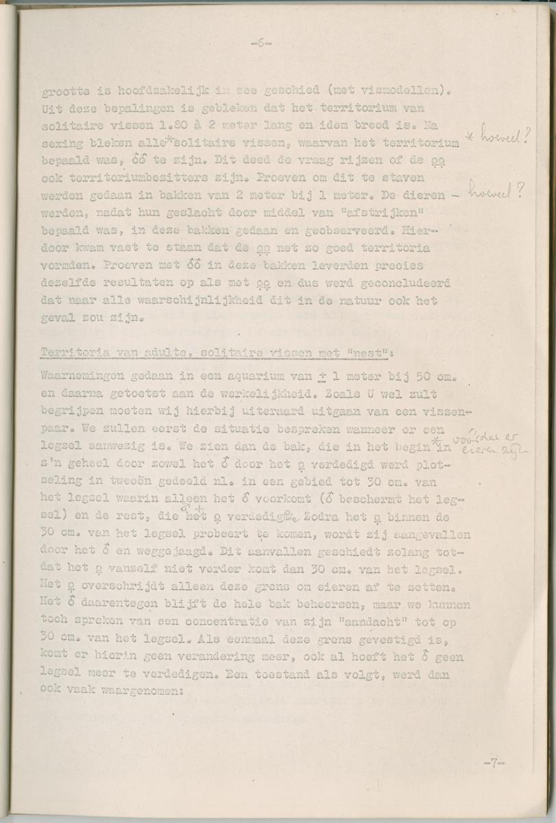 Ethologie van Eupomacentrus fuscus - New Page