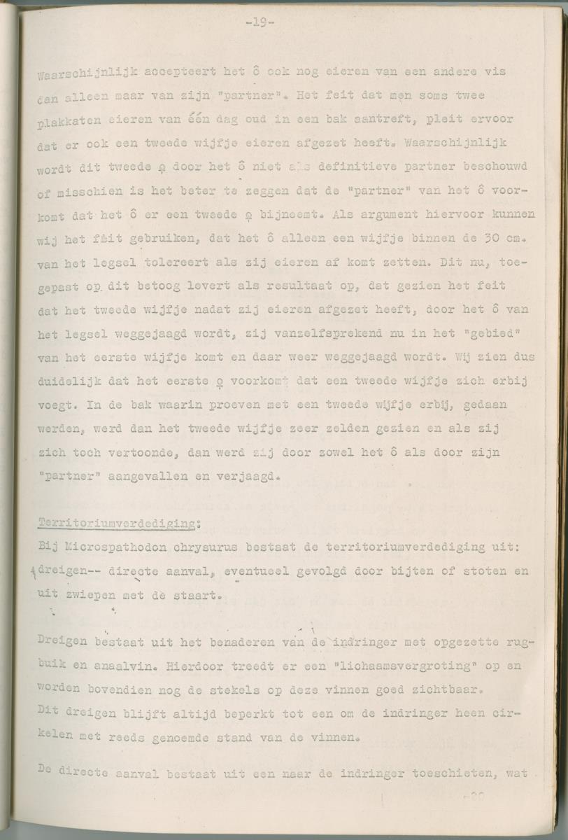 Ethologie van Eupomacentrus fuscus - New Page