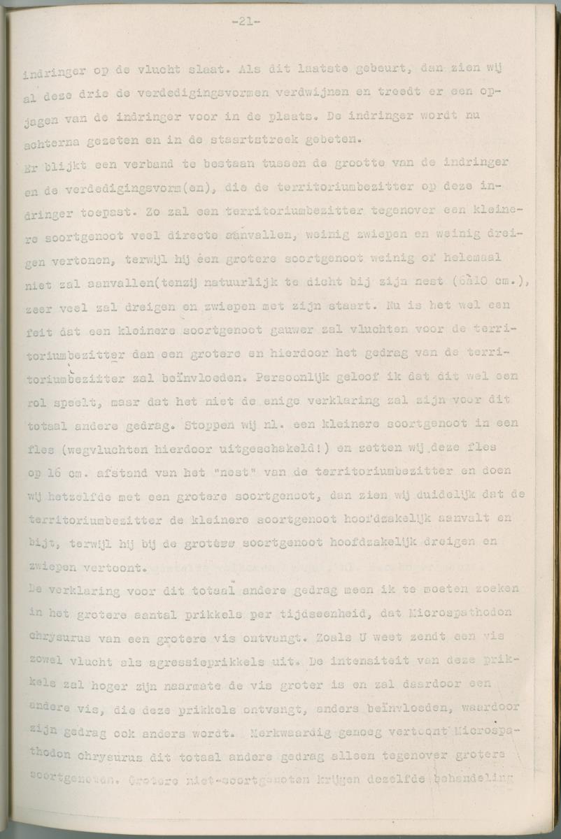 Ethologie van Eupomacentrus fuscus - New Page