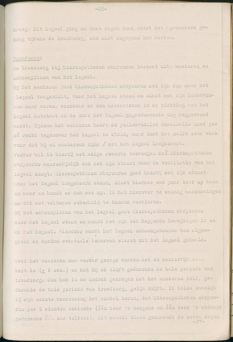 Ethologie van Eupomacentrus fuscus - New Page