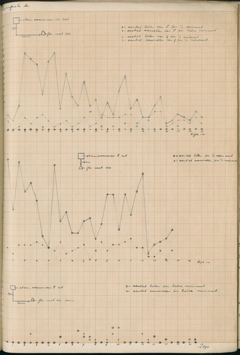 Ethologie van Eupomacentrus fuscus - New Page