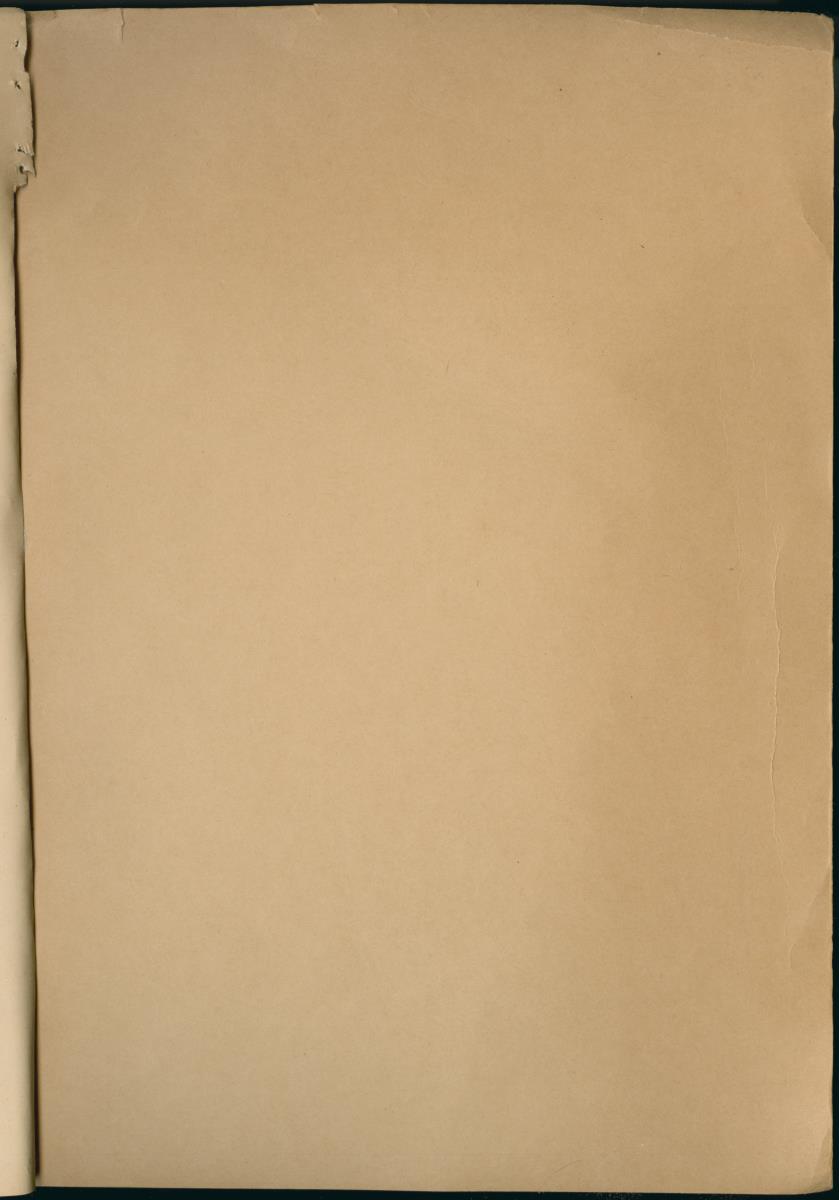 Ethologie van Eupomacentrus fuscus - New Page