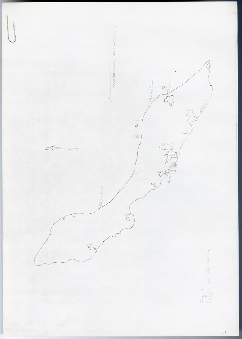 Meandrine parasieten - New Page