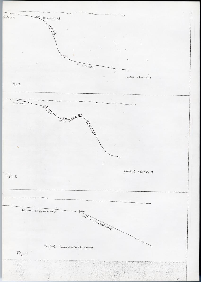 Meandrine parasieten - New Page