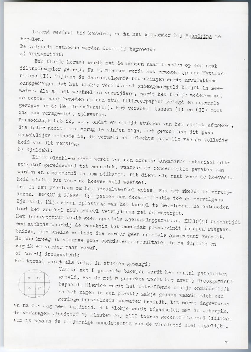 Meandrine parasieten - New Page