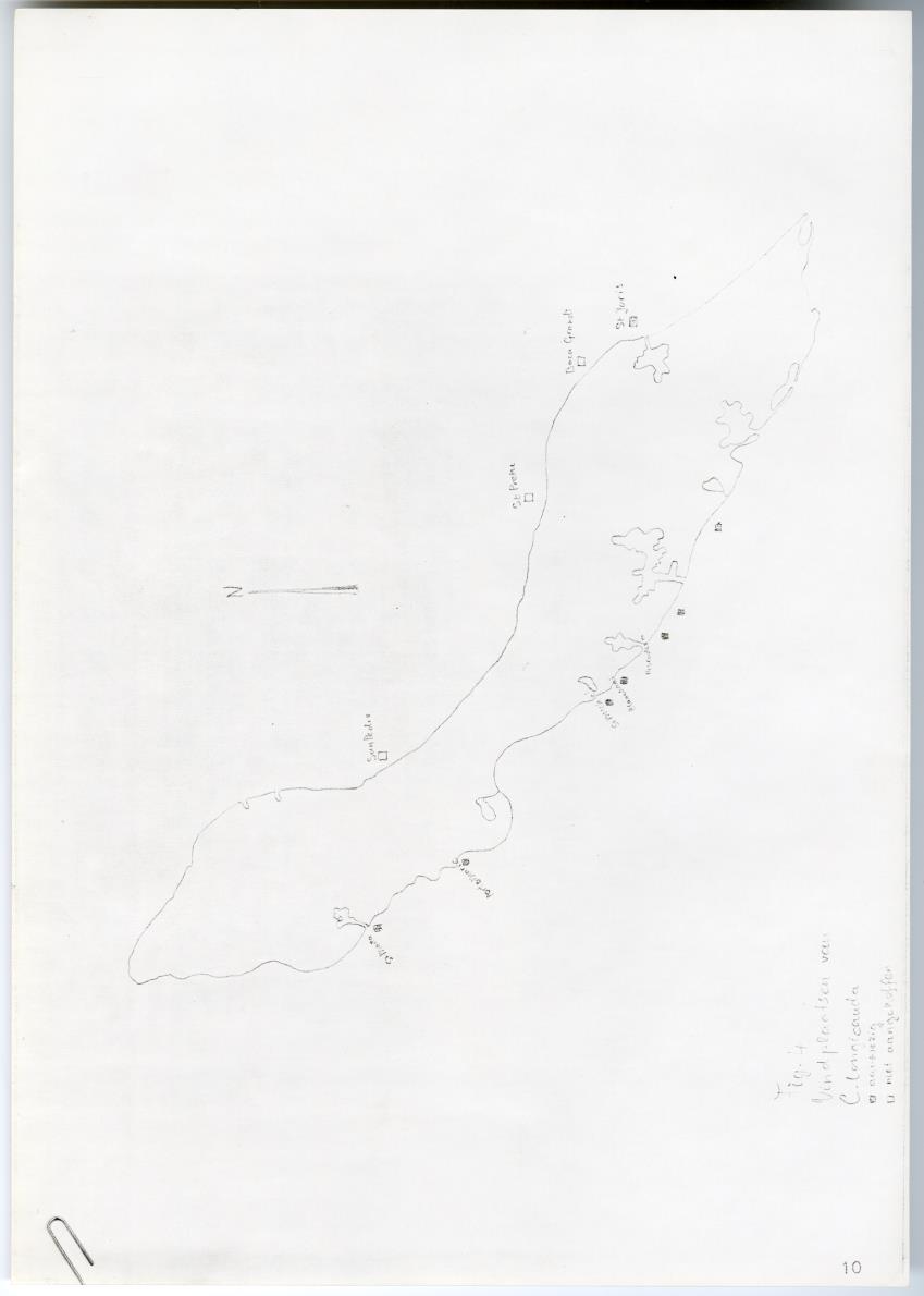 Meandrine parasieten - New Page