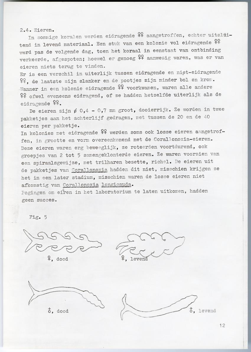 Z-Meandrine parasieten - New Page