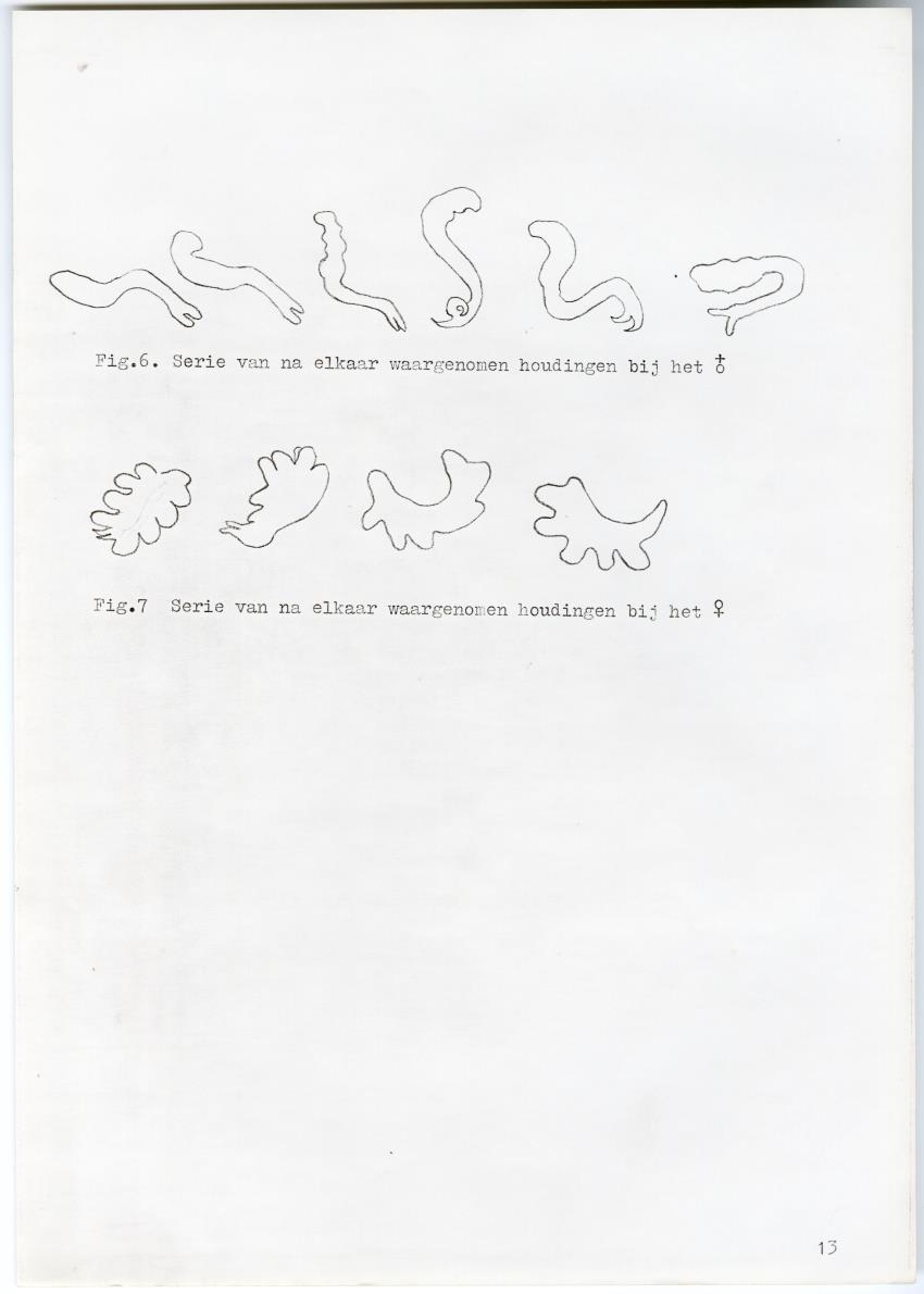 Meandrine parasieten - New Page