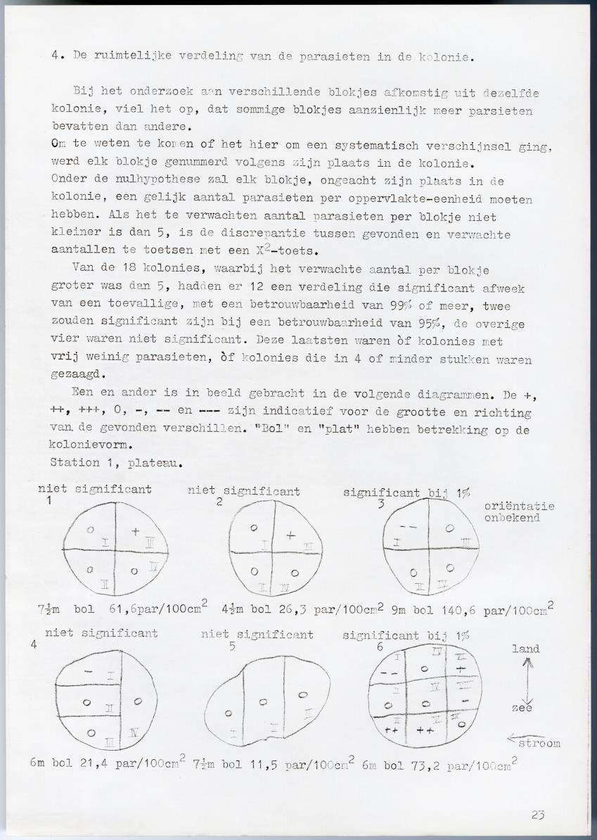 Meandrine parasieten - New Page