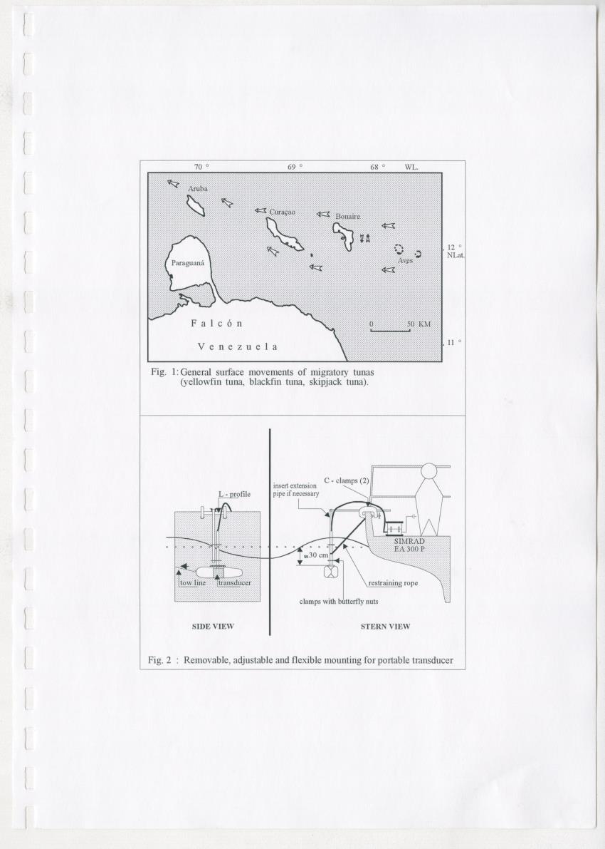Z-Technical paper on the implementation of a FAD program in Curacao (Netherlands Antilles) - New Page