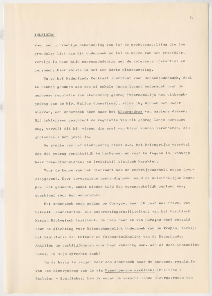 Het kleurgedrag van de normale en blinde vis, Pseudupeneus maculatus, in gevangenschap - New Page