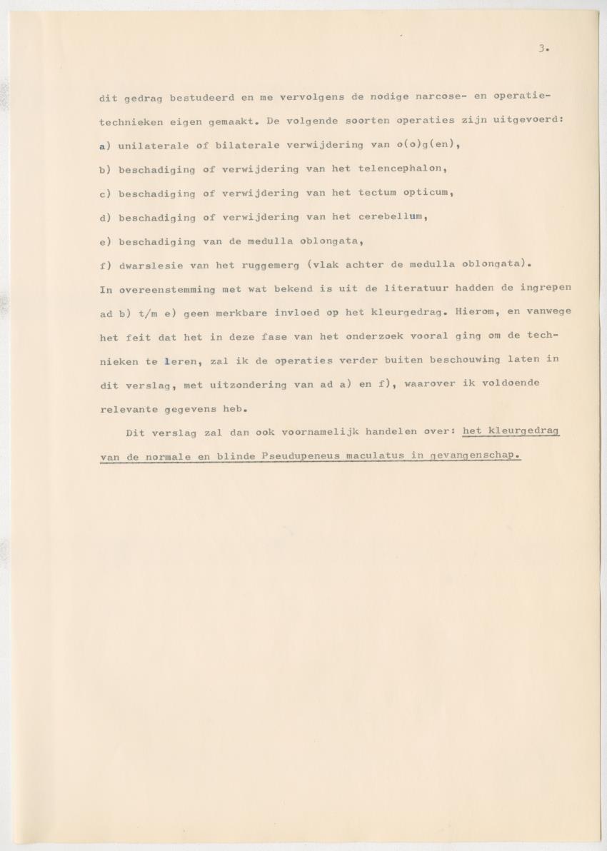 Het kleurgedrag van de normale en blinde vis, Pseudupeneus maculatus, in gevangenschap - New Page