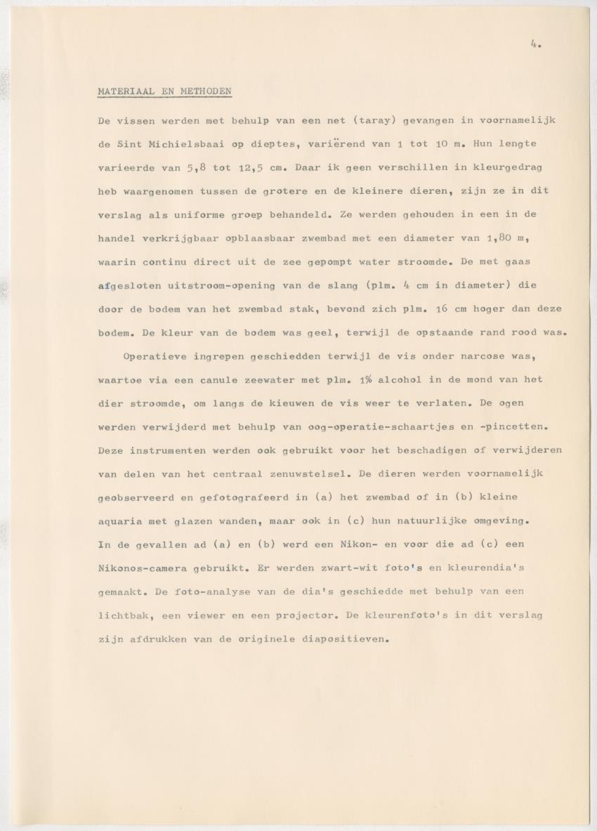 Het kleurgedrag van de normale en blinde vis, Pseudupeneus maculatus, in gevangenschap - New Page